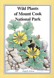 Wild Plants of Mount Cook National Park book cover